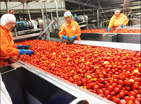 Lesson 1 You realise the need for change only when you realise you have a challenge